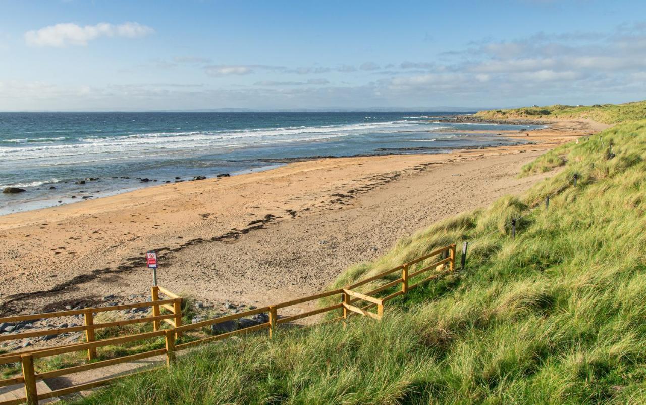 Dolphin Watch Wild Atlantic Way Vila Fanore Exterior foto