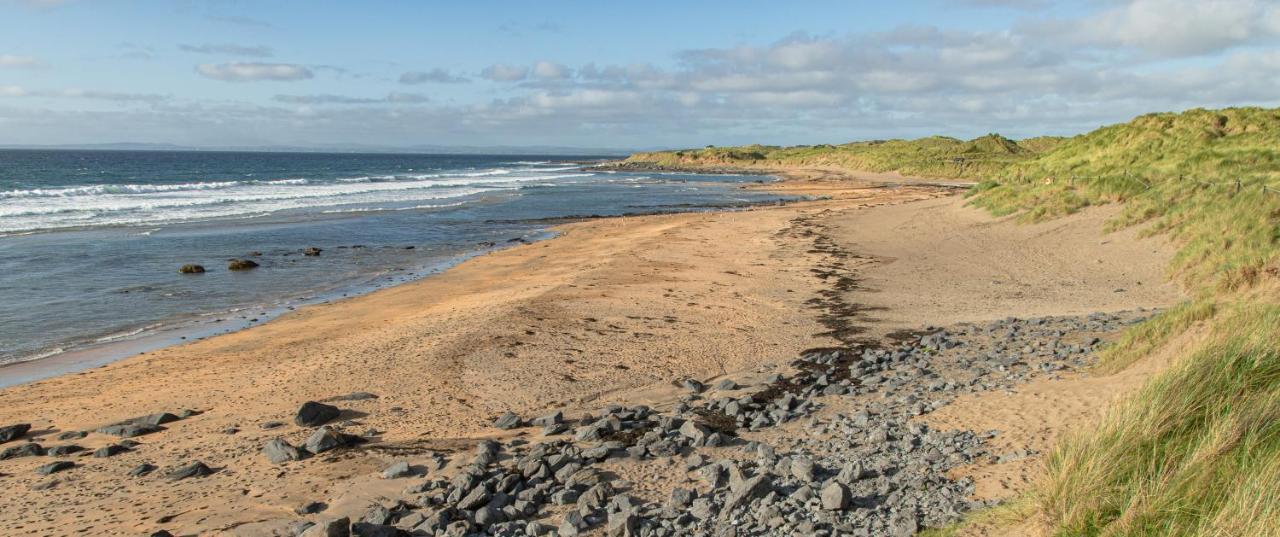 Dolphin Watch Wild Atlantic Way Vila Fanore Exterior foto
