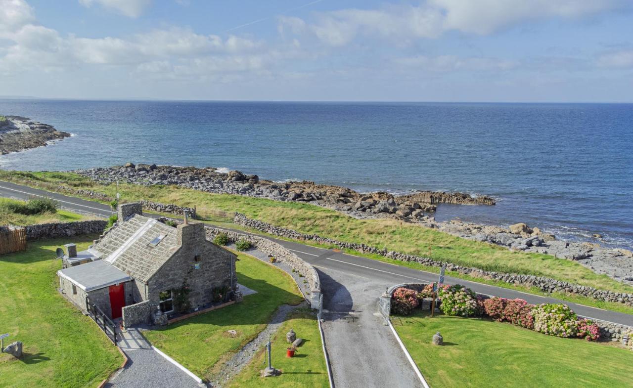 Dolphin Watch Wild Atlantic Way Vila Fanore Exterior foto
